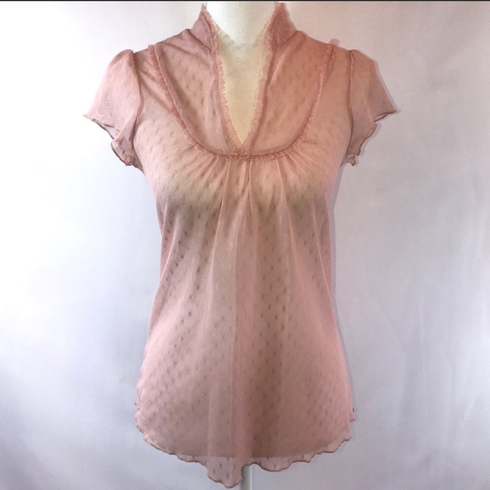 Lily White Flock Dot Sheer Blush Blouse